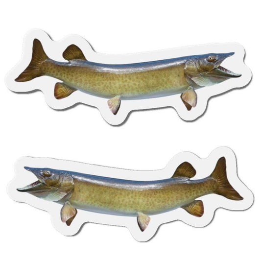 Muskellunge fish shaped magnets for fridge décor with left and right-facing designs.