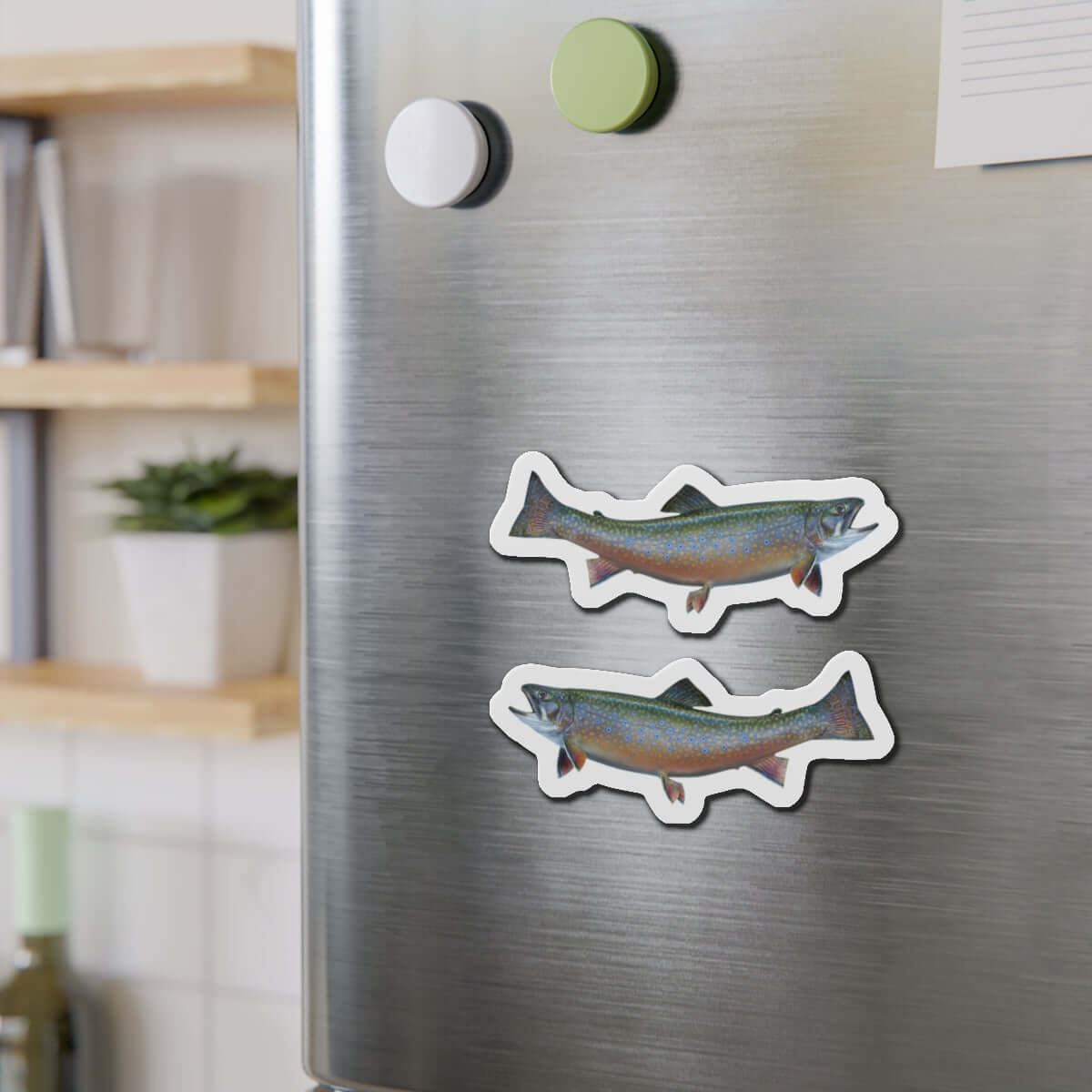 Two Brook Trout magnets on a fridge, one facing left and the other right, adding a touch of nature to the kitchen.