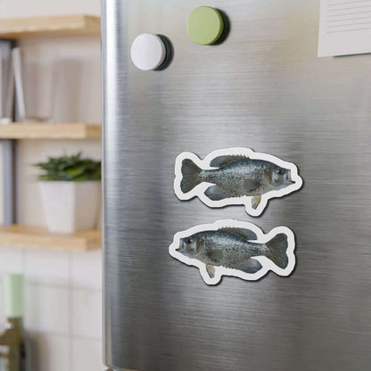 Crappie fish shaped magnets on a fridge for fun fish décor and fishing fans.