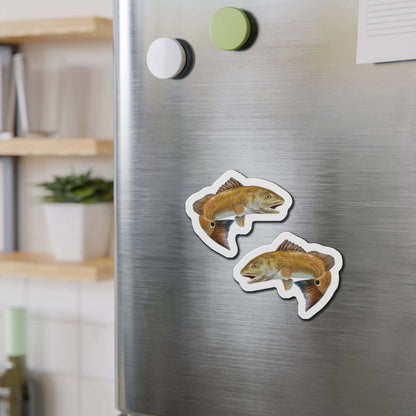 Redfish Shaped Magnets on Fridge, Fun Fish Décor for Fishing Fans