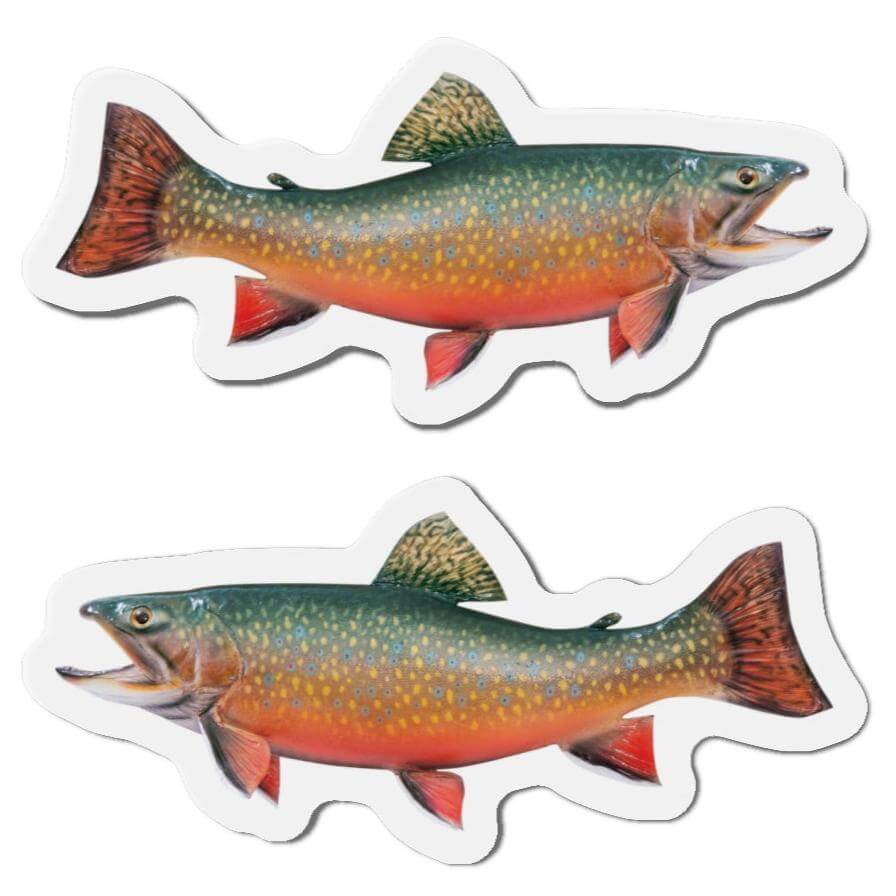 Brook Trout magnets, left and right-facing fish designs, adding natural flair to any magnetic surface. Perfect for fishing enthusiasts.