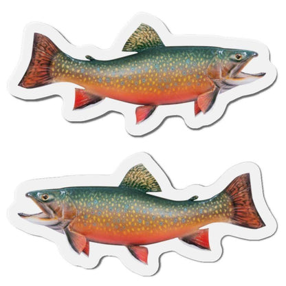 Brook Trout magnets, left and right-facing fish designs, adding natural flair to any magnetic surface. Perfect for fishing enthusiasts.