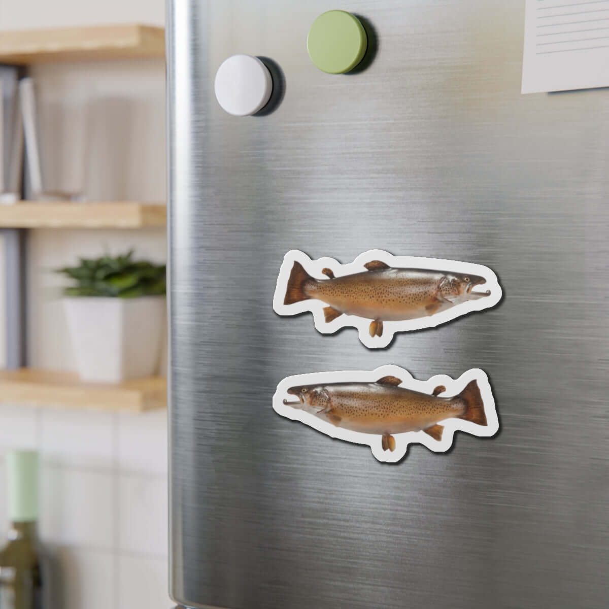 Brown Trout fish shaped magnets on a stainless steel fridge, adding natural decor and fun to the kitchen.