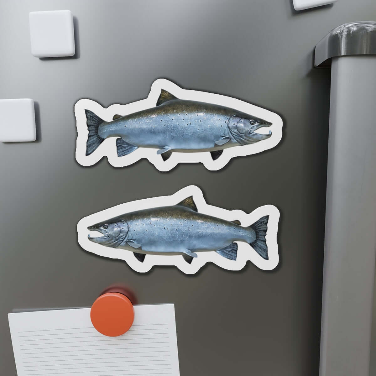 Atlantic Salmon fish shaped magnets on fridge, perfect for fish décor enthusiasts and fun kitchen magnets lovers.