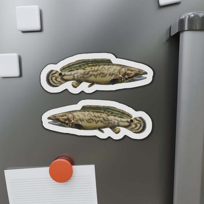 Bowfin fish shaped magnets on a fridge, featuring left and right designs, perfect for fun kitchen décor and fishing enthusiasts.