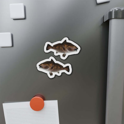 Black Drum fish shaped magnets on a fridge, perfect for fish décor and fun kitchen magnets.