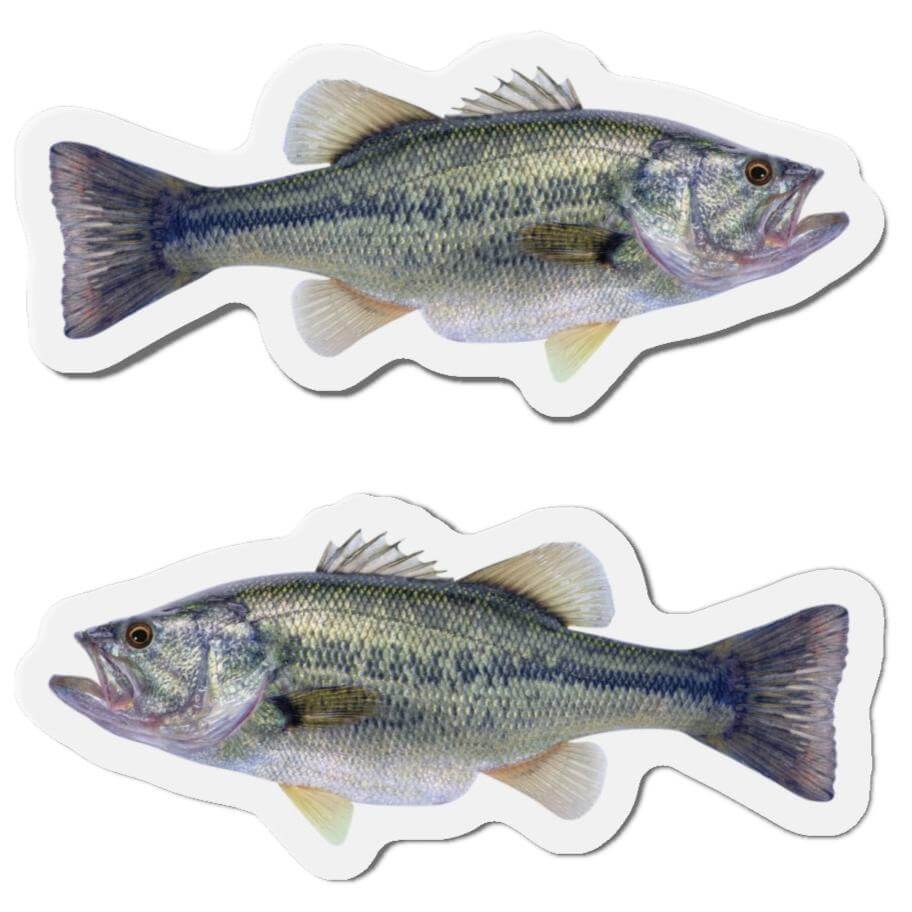 Largemouth Bass-shaped magnets for fish décor, featuring left and right-facing designs for fun fridge magnets.