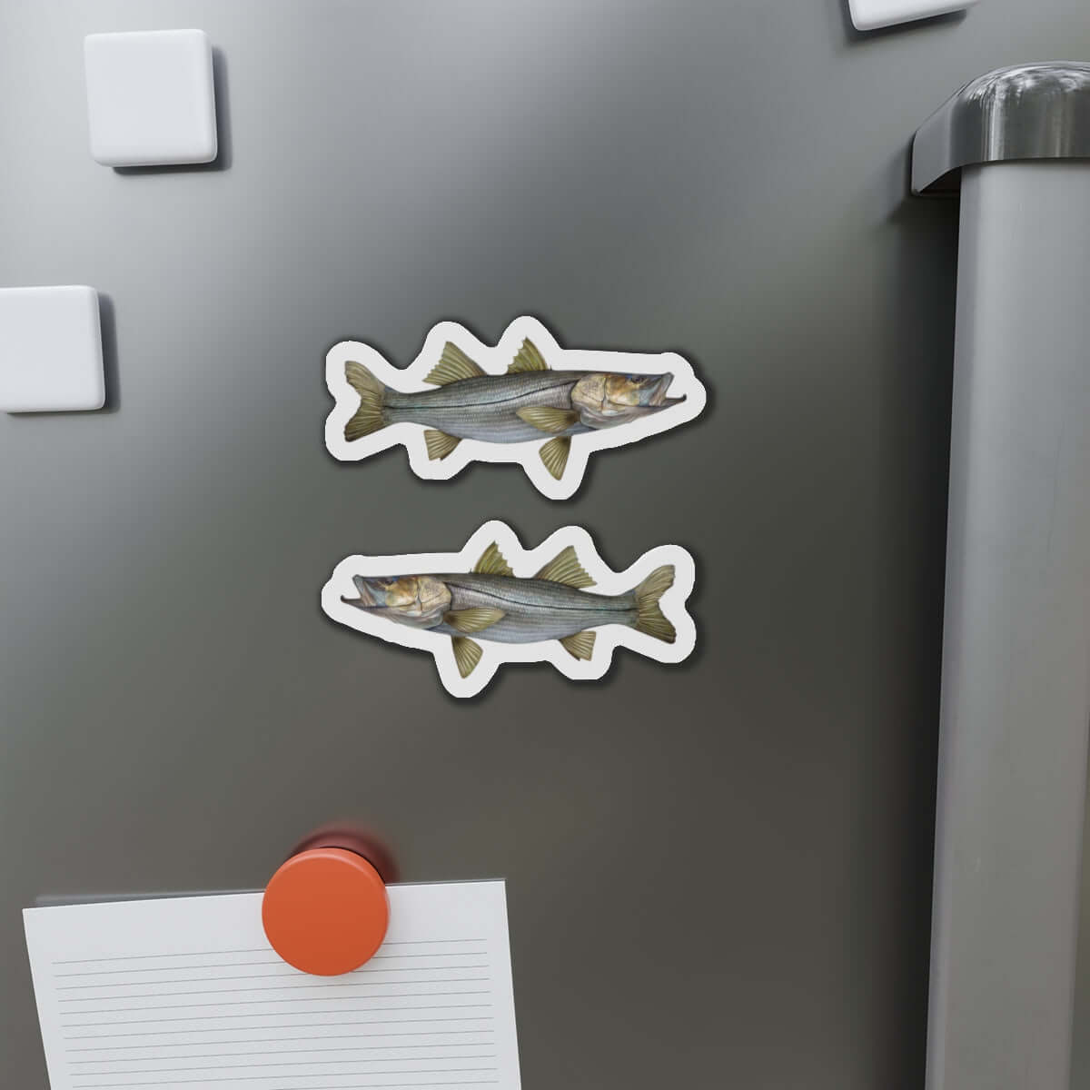 Snook fish shaped magnets on refrigerator, perfect for fun kitchen décor and fishing fans.