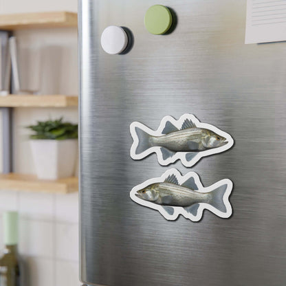 White Bass magnets on fridge adding fish décor for kitchen charm.