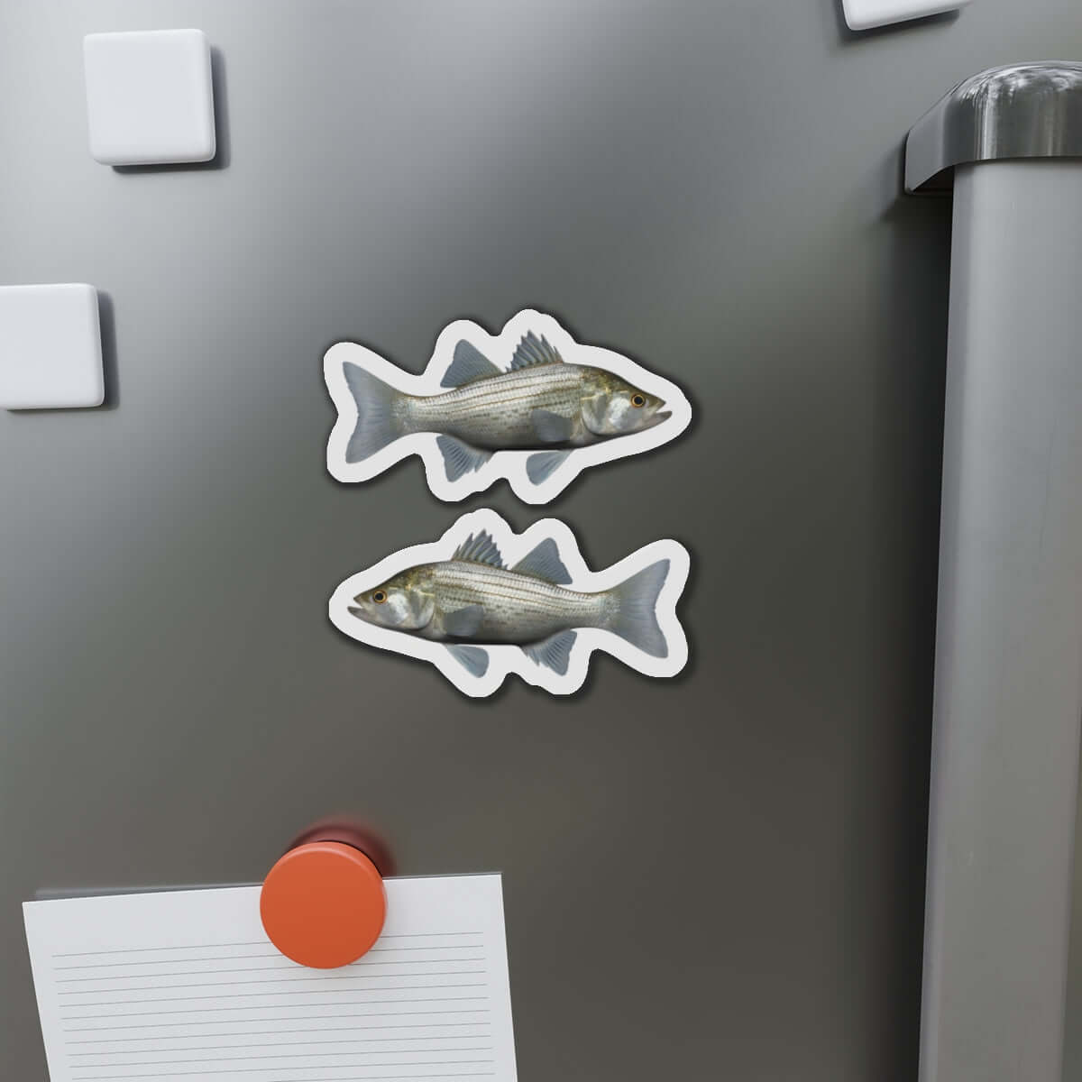 White Bass fish-shaped magnets on fridge, adding natural flair and fun to your kitchen décor. Perfect for fishing enthusiasts.