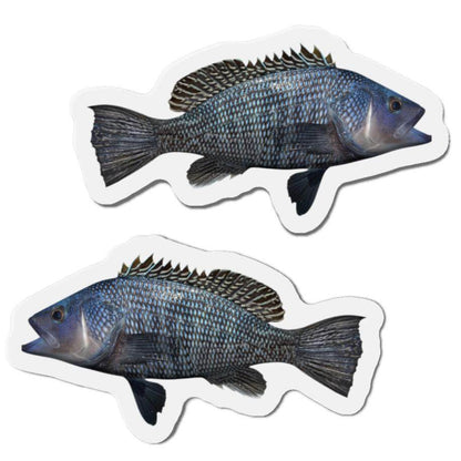 Black Seabass fish shaped magnets for fun kitchen or fishing fridge décor.