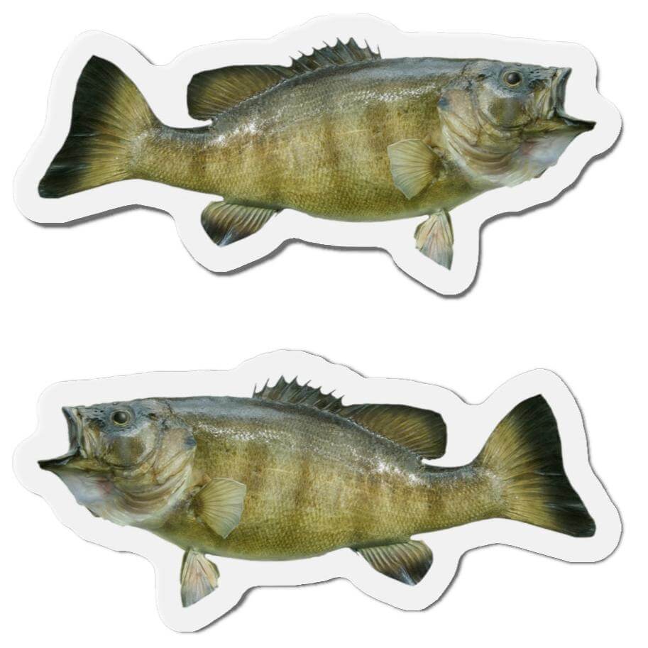 Smallmouth Bass fish shaped magnets for fun fridge décor with left and right-facing designs.