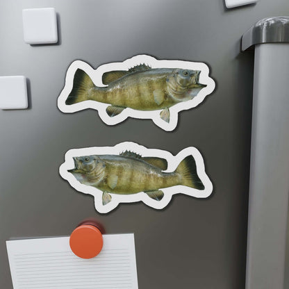 Smallmouth Bass fish-shaped magnets on a fridge, perfect for fishing fans and adding a fun kitchen flair.