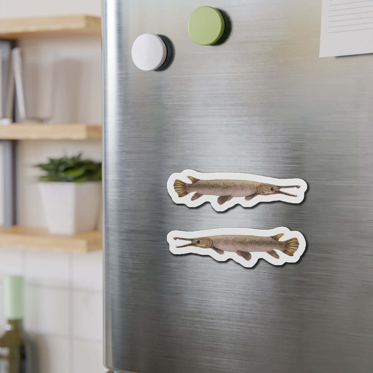 Alligator Gar fish shaped magnets on a refrigerator adding natural décor for fishing fans.