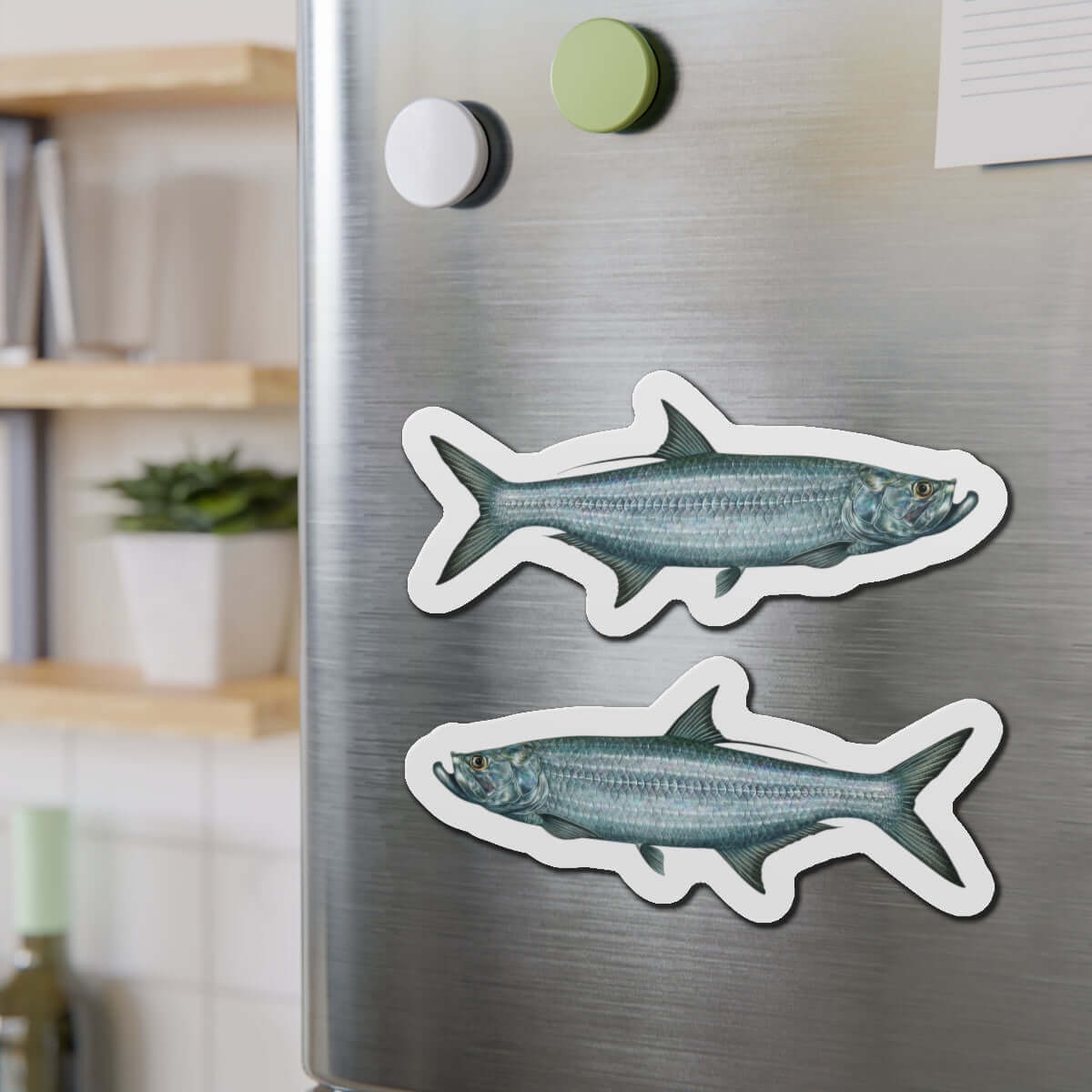 Tarpon fish shaped magnets on fridge, showcasing realistic fish décor for fishing enthusiasts and nature lovers