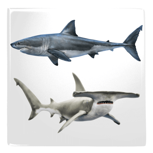 Mixed sharks metal magnets for fun fridge décor, featuring hammerhead and great white shark designs.