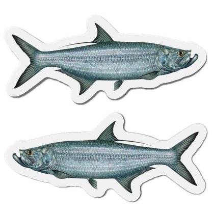 Tarpon Fish Shaped Magnets for Fun Fridge Décor