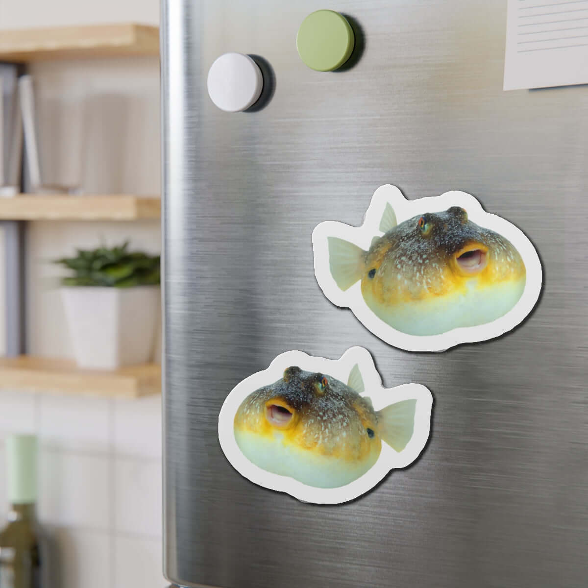 Pufferfish magnets on fridge, showcasing fun fish décor in a kitchen setting.