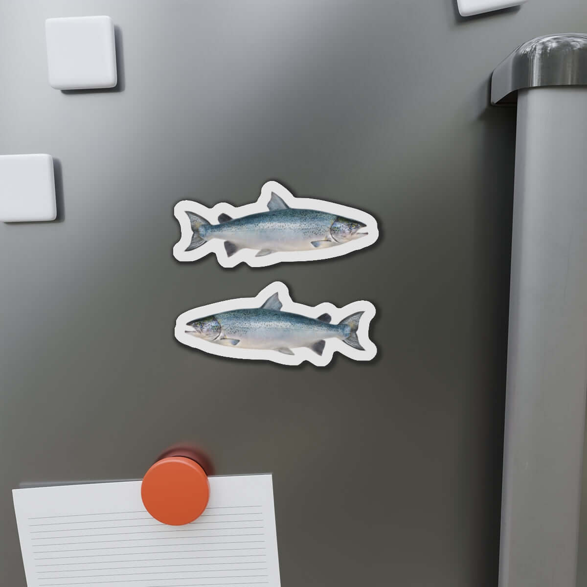 Atlantic Salmon fish-shaped magnets on fridge, perfect for fishing enthusiasts and fun kitchen décor.