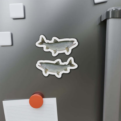 Lake Trout fish shaped magnets on fridge, perfect for fish décor and fun kitchen magnets.