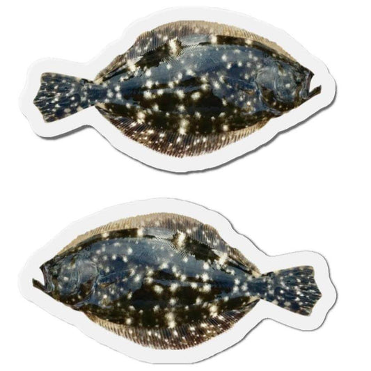 Summer Flounder Fish Shaped Magnets for Fridge Décor