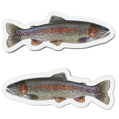 Rainbow Trout fish shaped magnets - fun fridge magnets for fishing enthusiasts