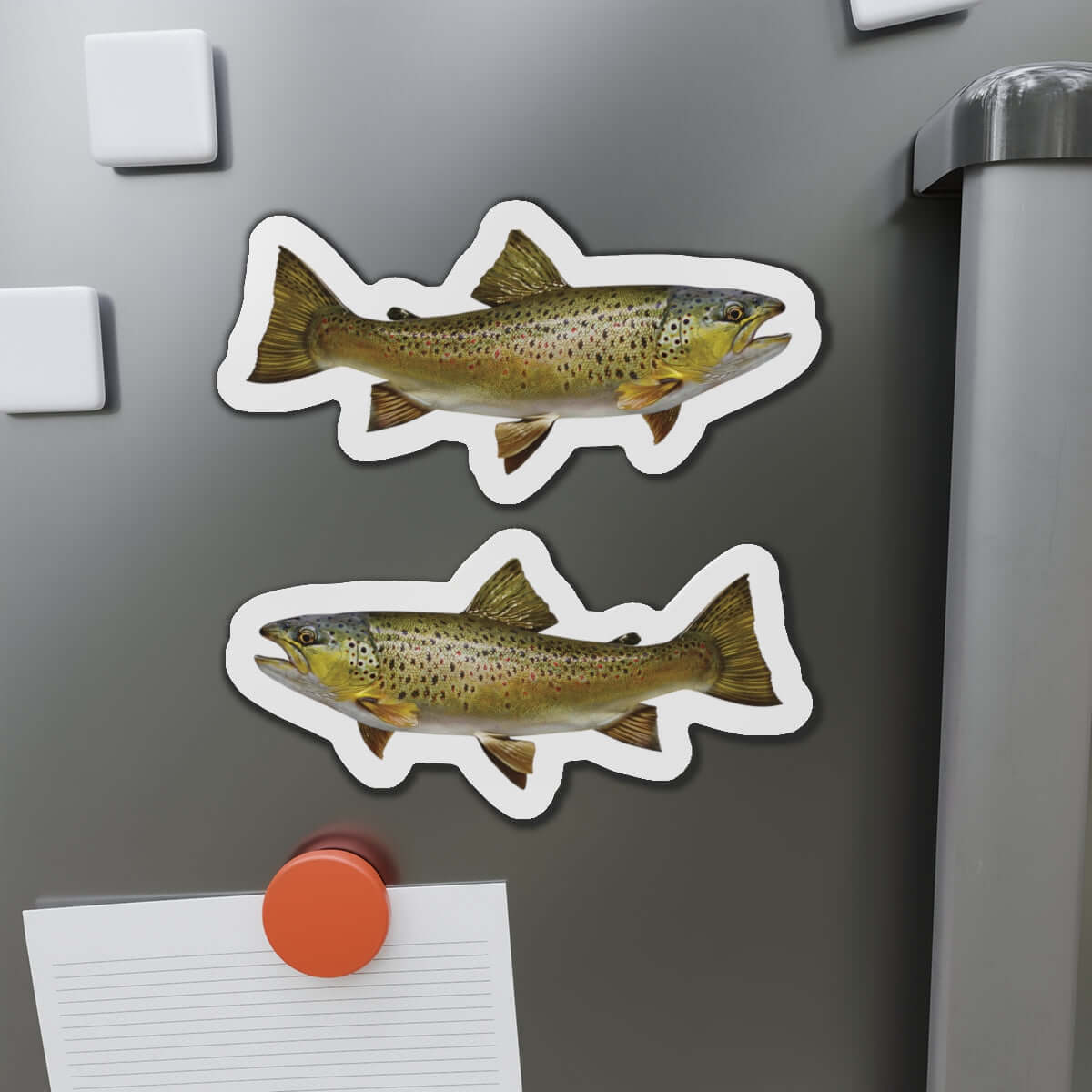 Brown Trout fish shaped magnets on a fridge, perfect for fish décor and fun kitchen accents.