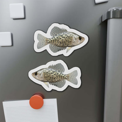 Crappie fish shaped magnets on fridge, perfect for fishing enthusiasts and fun kitchen décor.