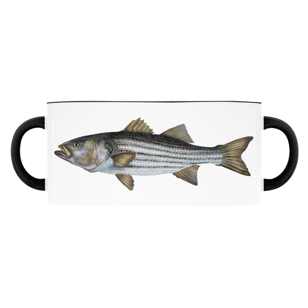 Striped Bass accent mug with black handle and rim on white background.