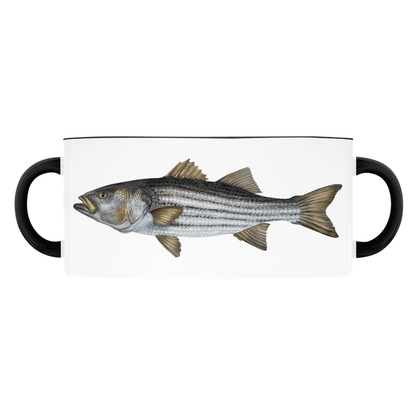 White mug with black handles featuring a realistic illustration of a striped bass fish.