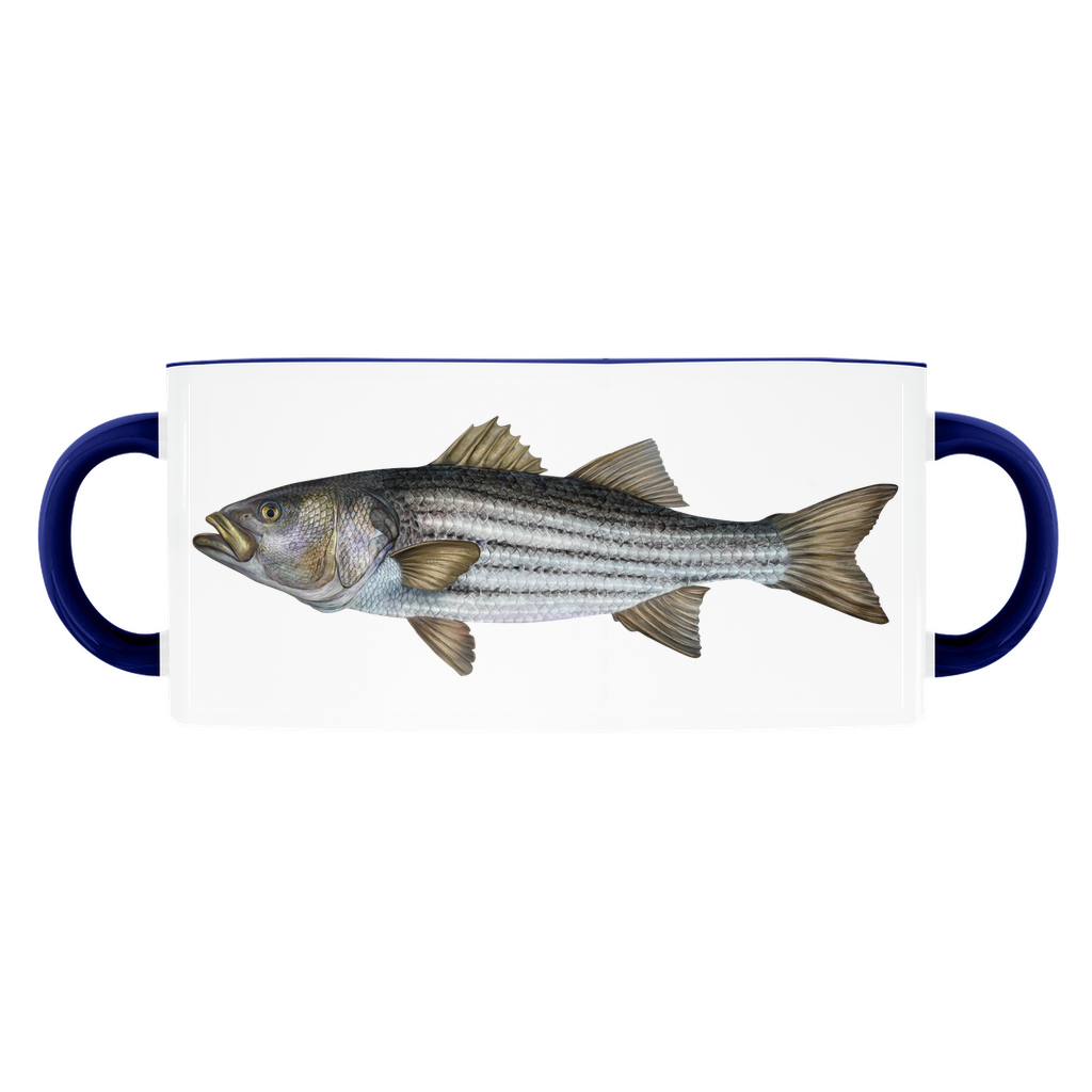 Striped Bass accent mug with dark blue handle and rim on white background.