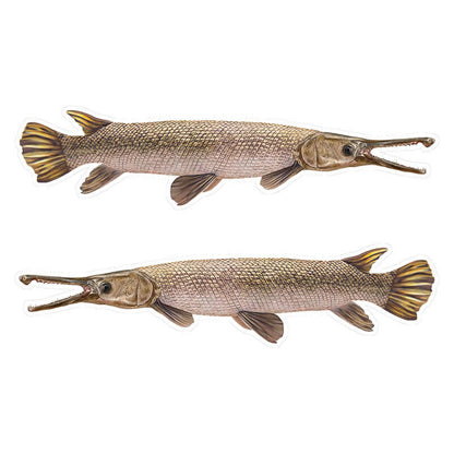 Alligator Gar fish stickers, vivid high-resolution, left and right facing, perfect for cars, boats, or laptops.