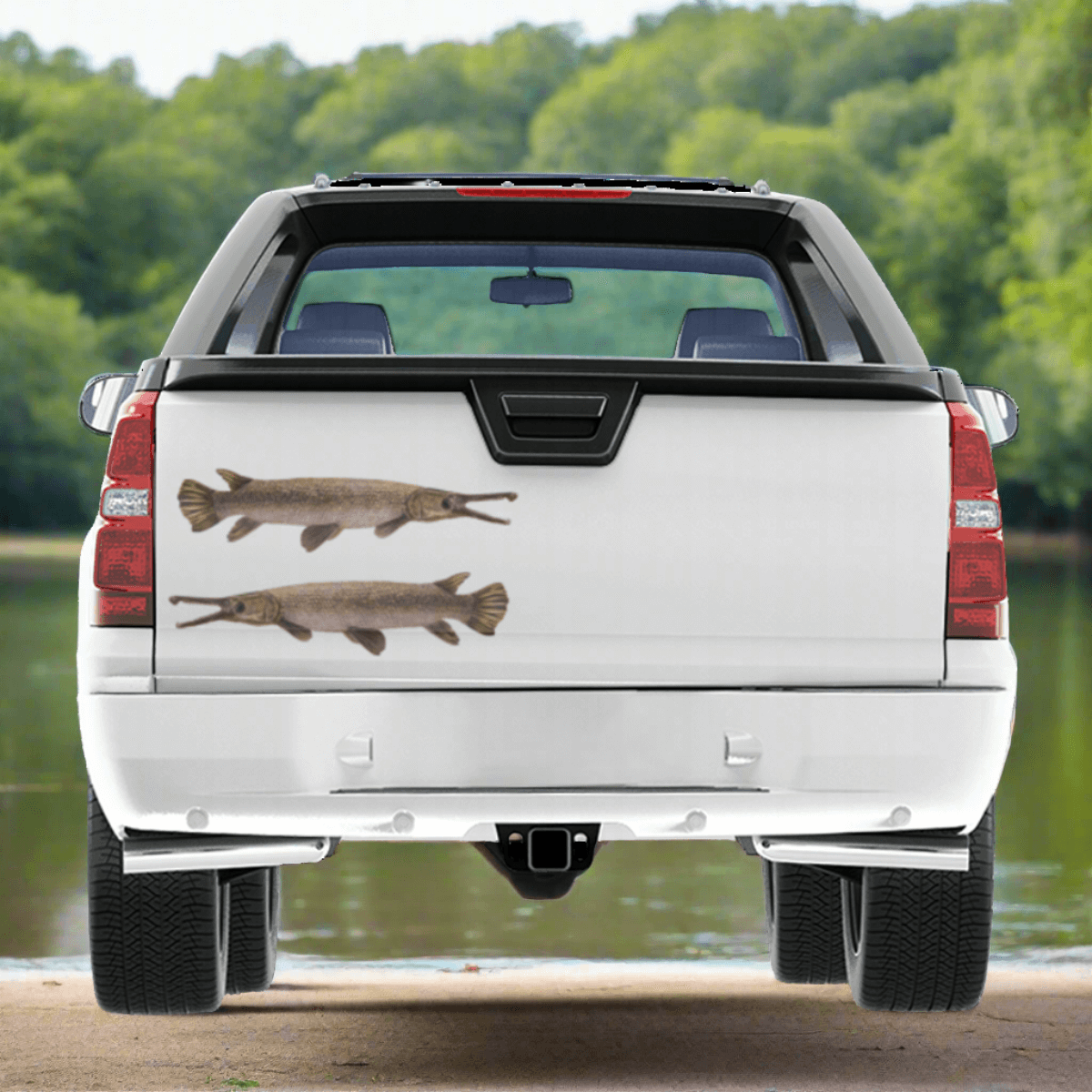 Alligator Gar large decals on a truck by a river.