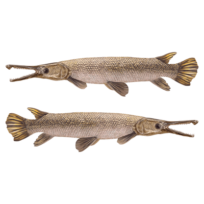 Two Alligator Gar fish wall decals, left and right facing, perfect for decorating a fish enthusiast's room.