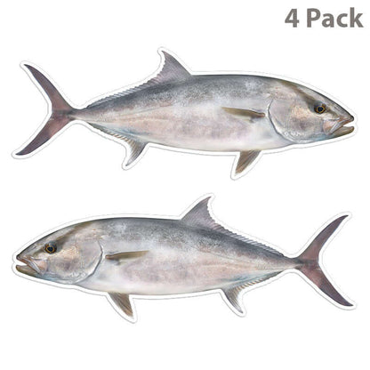 Amberjack fish stickers 4 pack, 14 inch, high resolution, weather-resistant fishing decals for cars and boats.