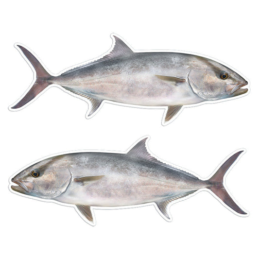 Amberjack 14 inch stickers left and right facing.