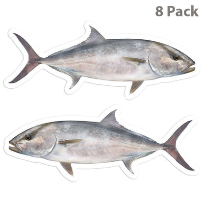 Amberjack fish stickers 8 pack, left and right facing, perfect for cars, laptops, and boats. Weather resistant fish decals.