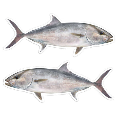 Amberjack fish stickers pack of two, left and right facing, high resolution, perfect for cars or boats, weather resistant.