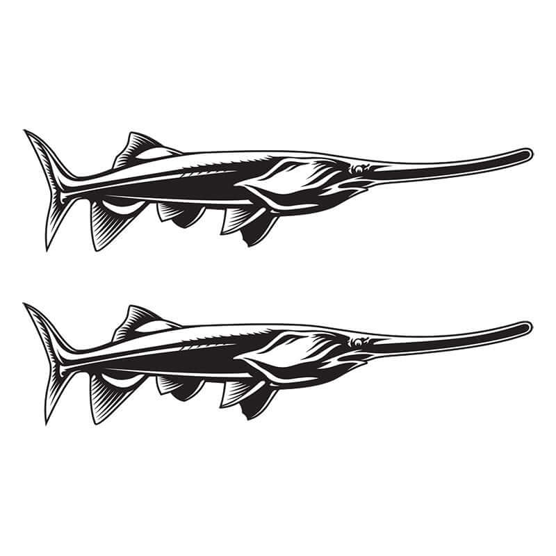 Paddlefish decals right facing x 2.