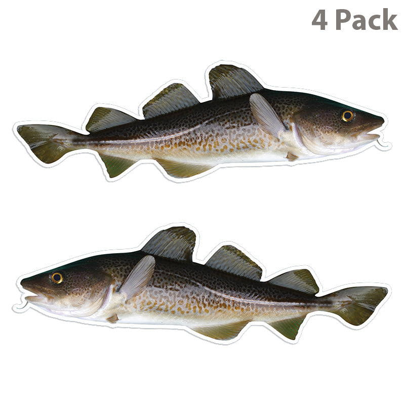 Atlantic Cod 14 inch 4 sticker pack.