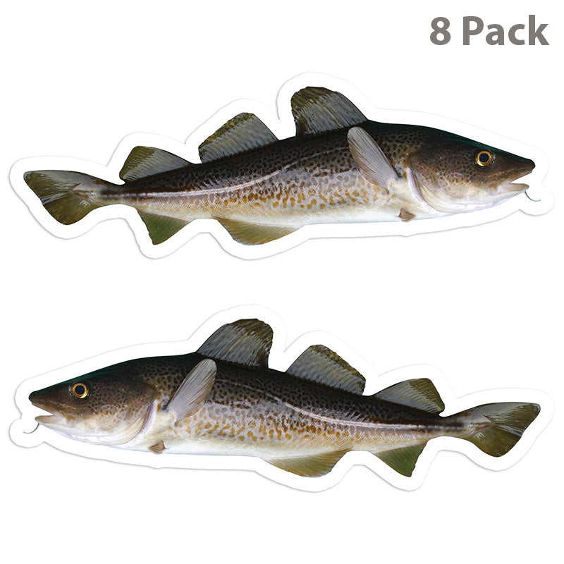 Atlantic Cod 5 inch 8 sticker pack.