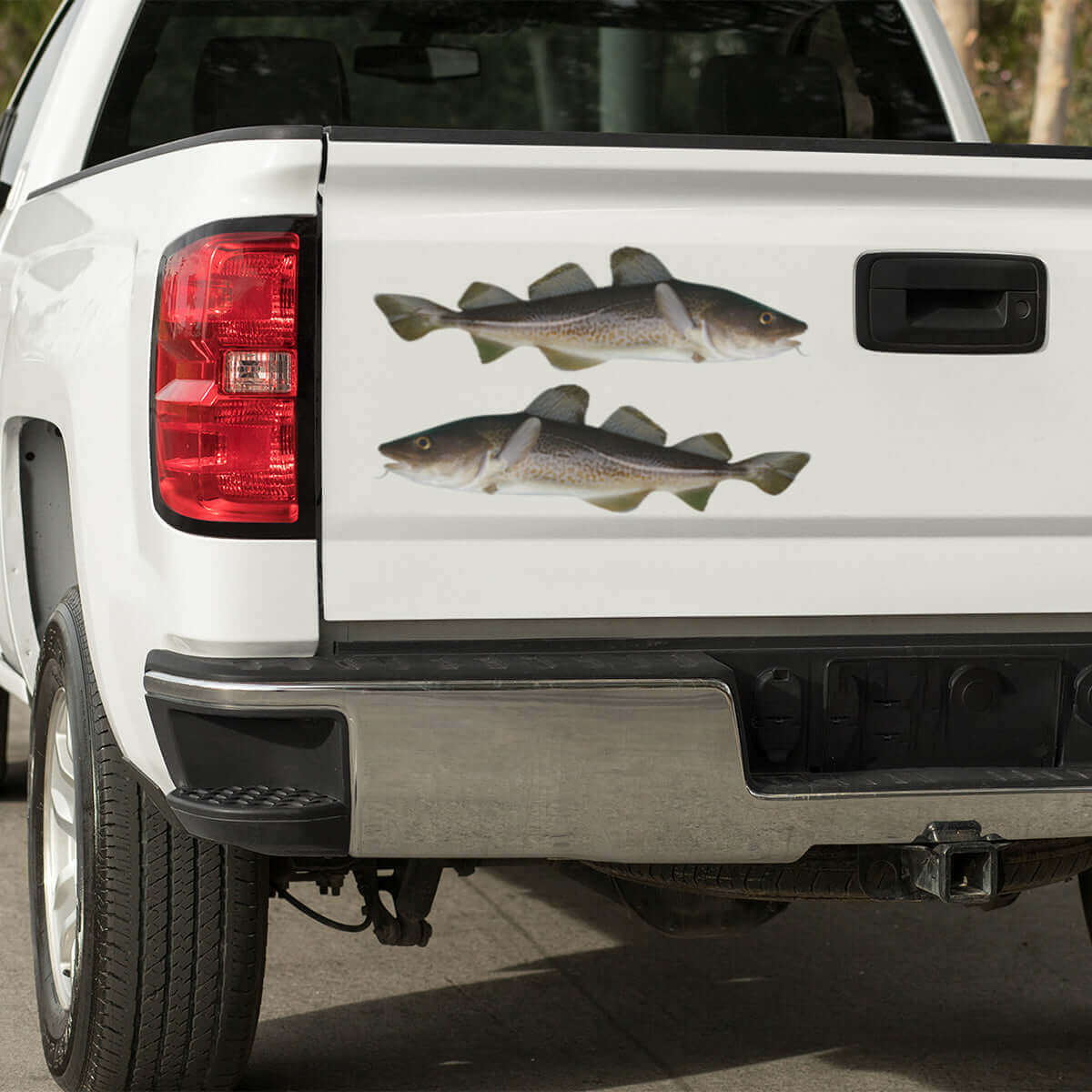 Atlantic Cod decals on a truck.