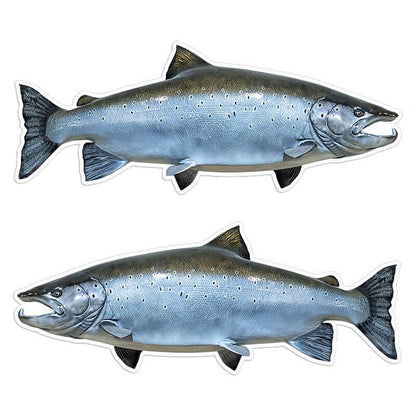 Atlantic Salmon 14 inch stickers left and right facing.