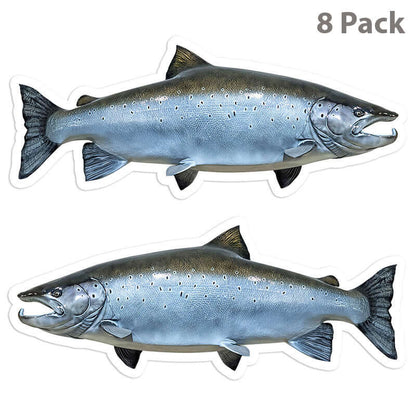 Atlantic Salmon 5 inch 8 sticker pack.