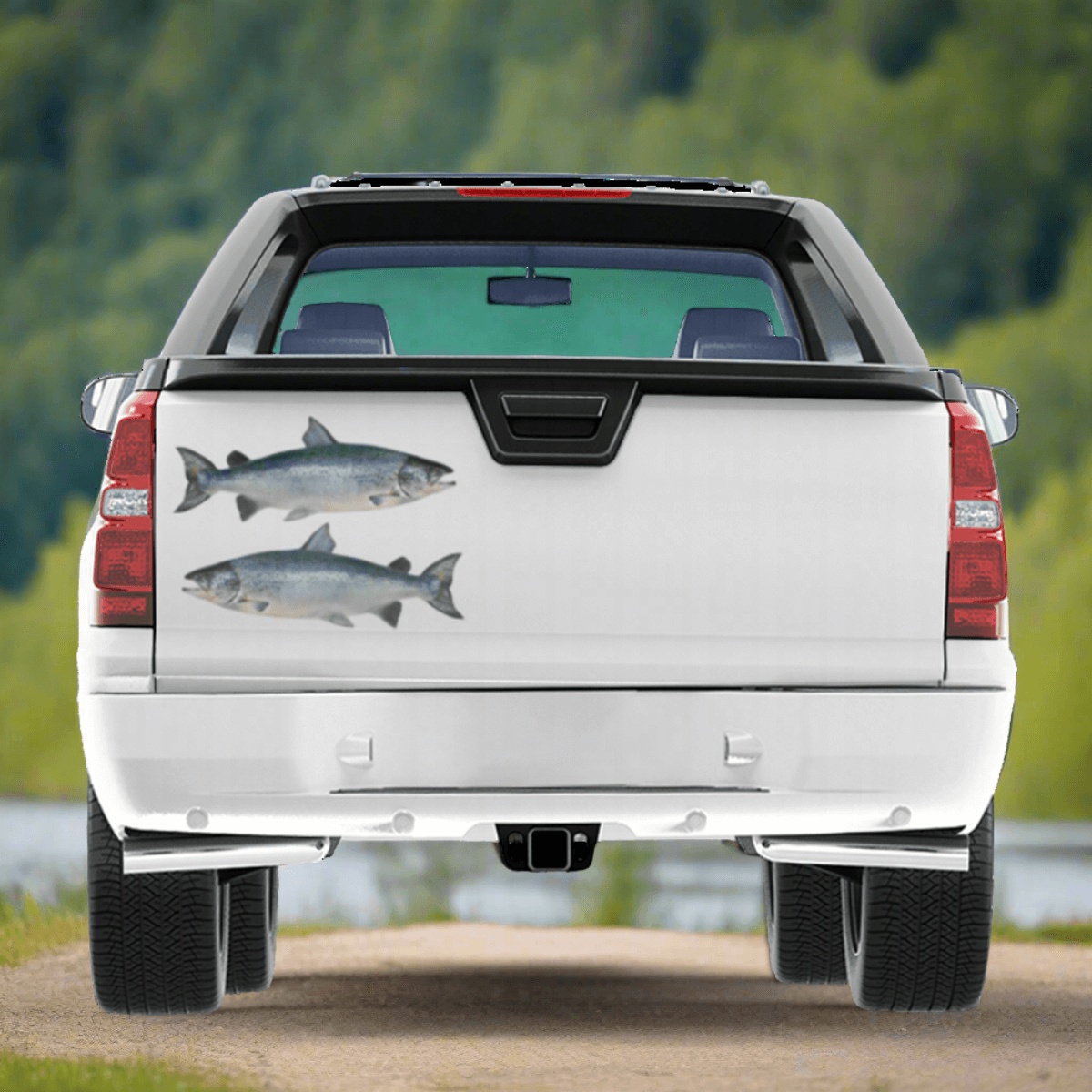 Atlantic Salmon decals on a truck, near a river.