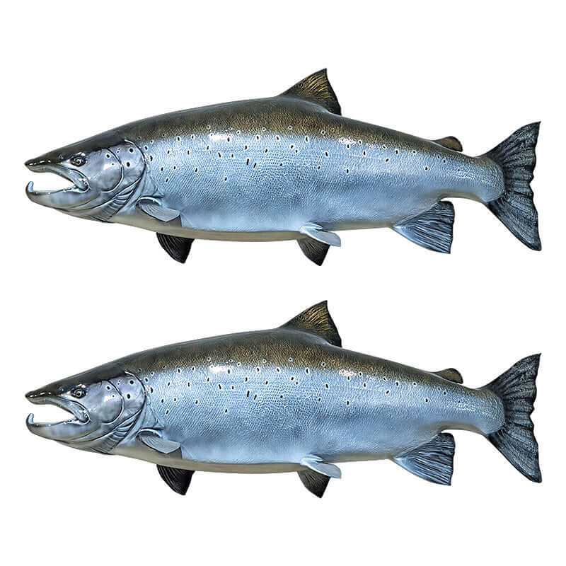 Atlantic Salmon Wall Decals