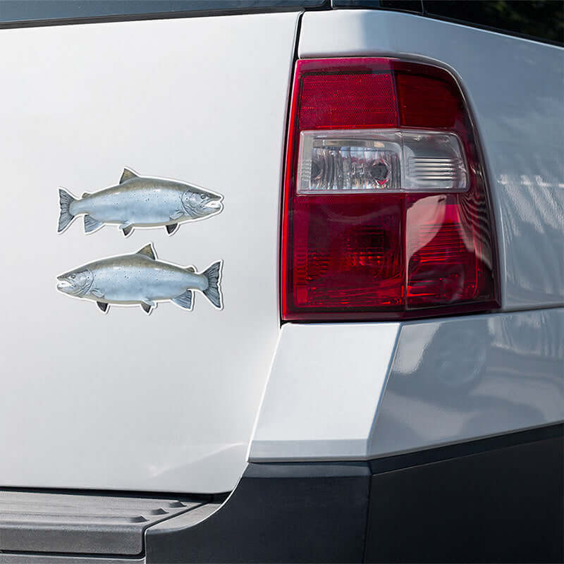 Atlantic Salmon stickers on a truck.