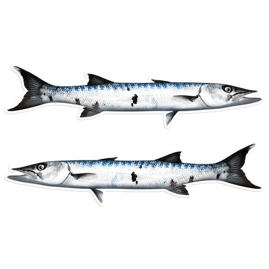 Barracuda 14 inch stickers left and right facing.