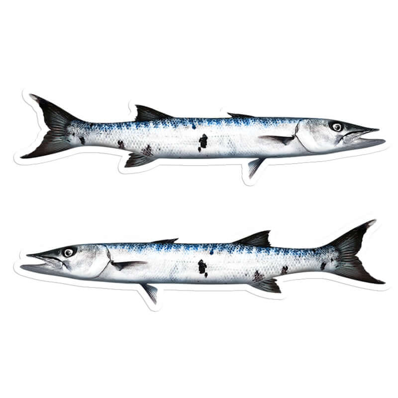 Barracuda - Stickers, Decals