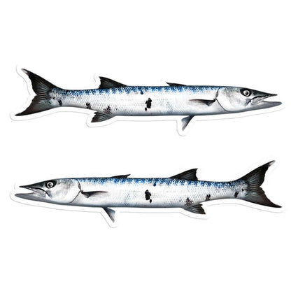 Barracuda - Stickers, Decals